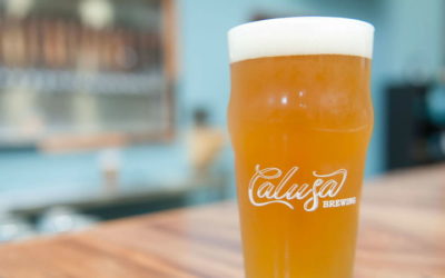 Milkshake IPA